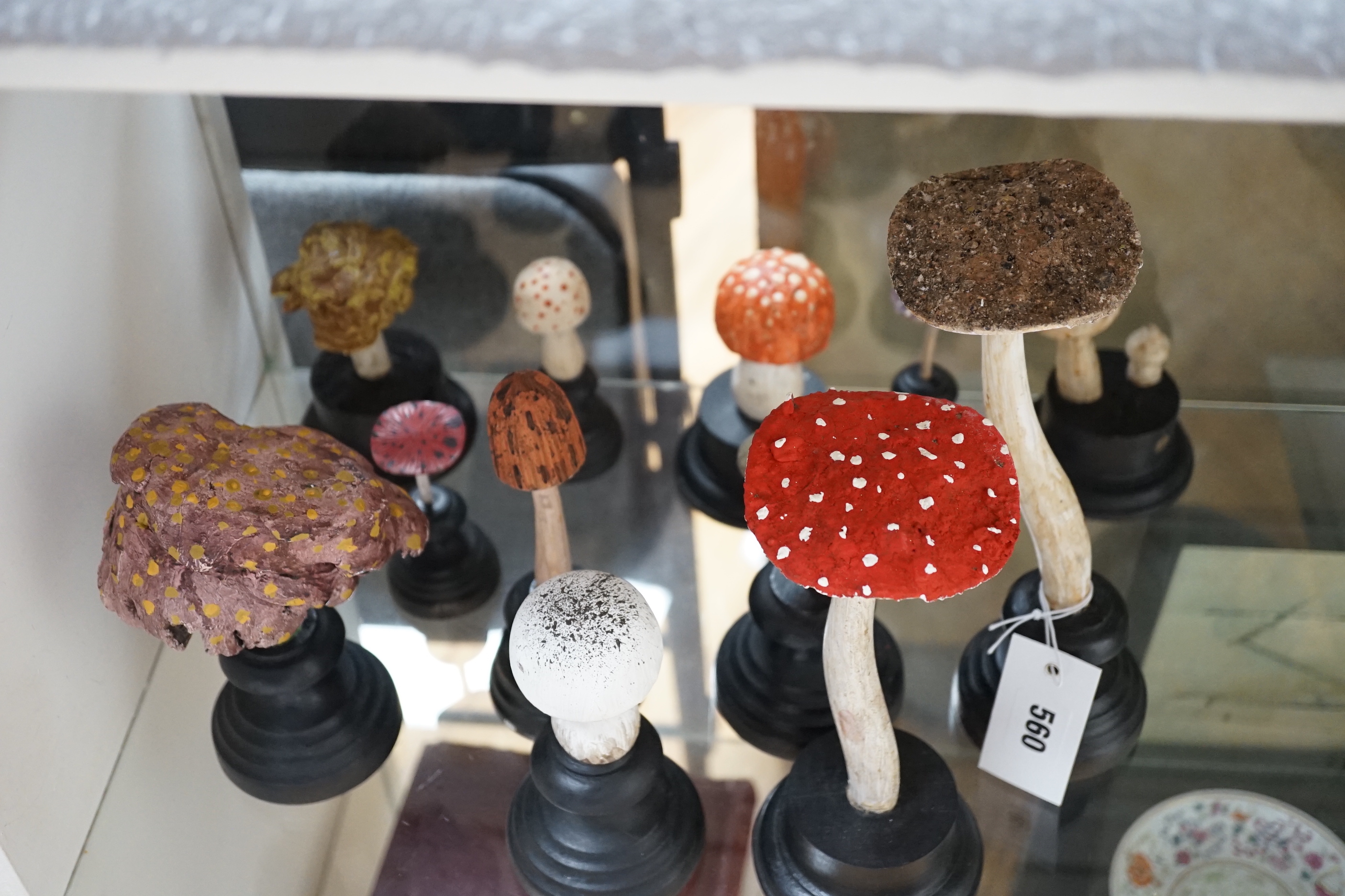 Twelve carved wood fungus specimen models, tallest 24cm